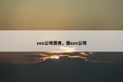 seo公司费用，做seo公司