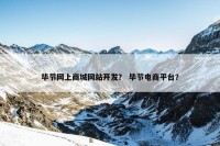 毕节网上商城网站开发？ 毕节电商平台？