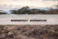 廊坊网站制作优化？ 廊坊网站制作方案？