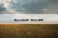 线上seo怎么做？ 网上seo课程？