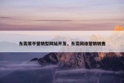 东莞常平营销型网站开发，东莞网络营销销售