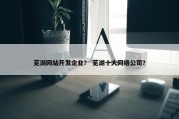 芜湖网站开发企业？ 芜湖十大网络公司？