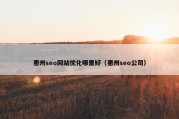 惠州seo网站优化哪里好（惠州seo公司）