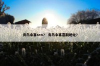 青岛来客seo？ 青岛来客喜剧地址？