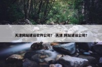天津网站建设软件公司？ 天津 网站建设公司？