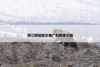 同江网站优化推广的简单介绍