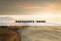 津南区网站定制开发（津南项目）