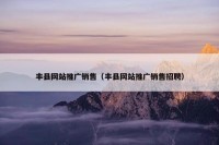 丰县网站推广销售（丰县网站推广销售招聘）