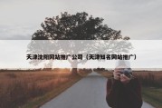 天津沈阳网站推广公司（天津知名网站推广）