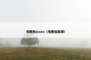 东胜放心seo（东胜信息港）