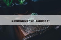 盐城哪里有网站推广店？ 盐城网站开发？