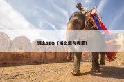 饿么SEO（饿么塘在哪里）