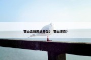 莱山品牌网站开发？ 莱山项目？