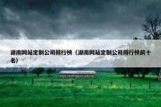 湖南网站定制公司排行榜（湖南网站定制公司排行榜前十名）