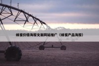 蜂蜜价格海报文案网站推广（蜂蜜产品海报）
