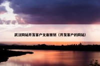 武汉网站开发客户文案策划（开发客户的网站）