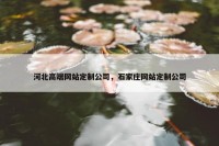 河北高端网站定制公司，石家庄网站定制公司
