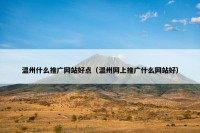温州什么推广网站好点（温州网上推广什么网站好）