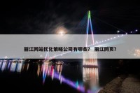 丽江网站优化策略公司有哪些？ 丽江网页？