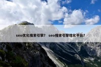 seo优化搜索引擎？ seo搜索引擎优化平台？