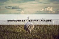 注册公司在哪里注册？ 注册公司可以网上注册吗？