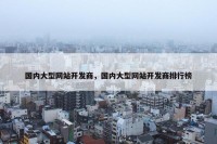 国内大型网站开发商，国内大型网站开发商排行榜