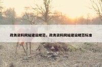 政务资料网站建设规范，政务资料网站建设规范标准