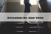 西坝河企业网站推广费用（网站推广费用预算）