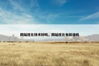 网站优化技术好吗，网站优化有前途吗