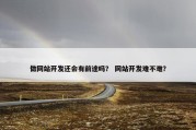 做网站开发还会有前途吗？ 网站开发难不难？