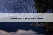 东兴网红民宿（广西东兴民宿都有哪些）