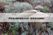 网页设计制作报告300字（网页设计的报告）