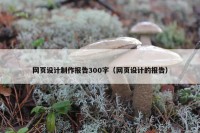 网页设计制作报告300字（网页设计的报告）
