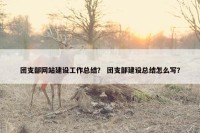 团支部网站建设工作总结？ 团支部建设总结怎么写？