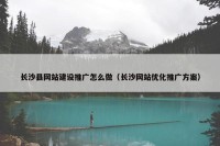 长沙县网站建设推广怎么做（长沙网站优化推广方案）