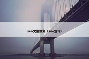 seo文案策划（seo宣传）