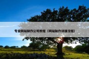 专业网站制作公司教程（网站制作详细流程）
