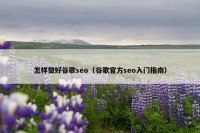 怎样做好谷歌seo（谷歌官方seo入门指南）