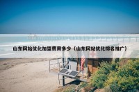 山东网站优化加盟费用多少（山东网站优化排名推广）