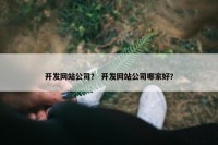 开发网站公司？ 开发网站公司哪家好？