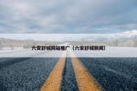 六安舒城网站推广（六安舒城新闻）