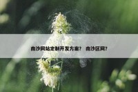 南沙网站定制开发方案？ 南沙区网？