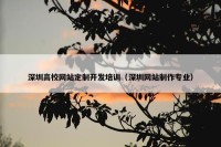 深圳高校网站定制开发培训（深圳网站制作专业）