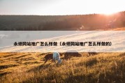 永修网站推广怎么样做（永修网站推广怎么样做的）