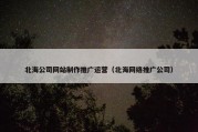 北海公司网站制作推广运营（北海网络推广公司）
