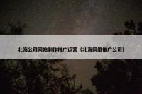 北海公司网站制作推广运营（北海网络推广公司）
