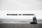 柳州专业网站推广公司（柳州网络营销推广）