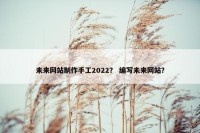 未来网站制作手工2022？ 编写未来网站？