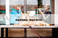 网站开发码农（网站开发代码）
