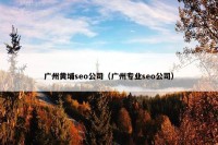 广州黄埔seo公司（广州专业seo公司）